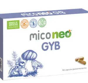 MICONEO GYB 60cápsulas (1)