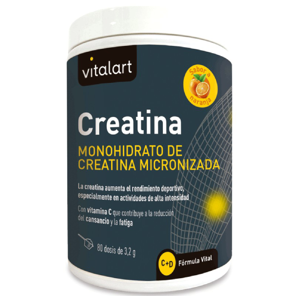 vitalart-creatina-256-g